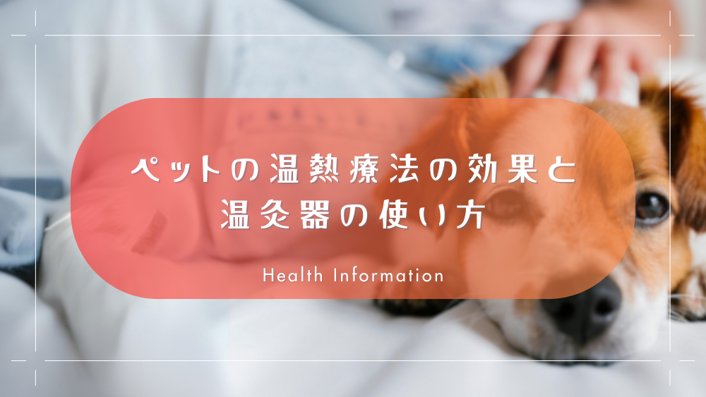犬の下痢に：ペットの温熱療法の効果と温灸器の使い方